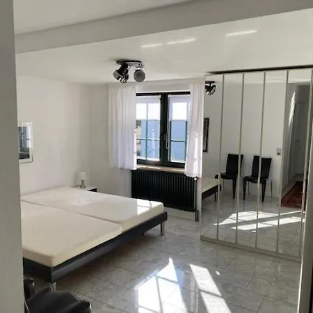1 A Ferienwohnung Im Dreilaendereck D-F-Ch Mit Beheizbarem Kleinem Ueberdachtem Pool Auf Der Privaten Terasse Lejlighed Hausen im Wiesental
