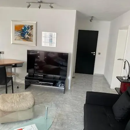 Lejlighed 1 A Ferienwohnung Im Dreilaendereck D-F-Ch Mit Beheizbarem Kleinem Ueberdachtem Pool Auf Der Privaten Terasse Hausen im Wiesental