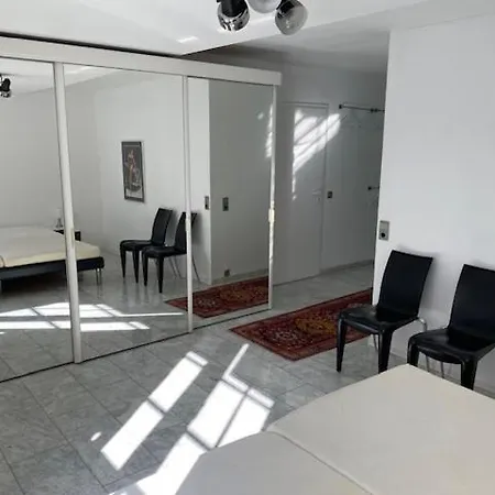 1 A Ferienwohnung Im Dreilaendereck D-F-Ch Mit Beheizbarem Kleinem Ueberdachtem Pool Auf Der Privaten Terasse Hausen im Wiesental