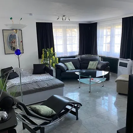 Apartment 1 A Im Dreilaendereck D-f-ch Mit Beheizbarem Kleinem Ueberdachtem Pool Auf Der Privaten Terasse Hausen im Wiesental