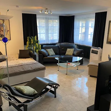 1 A Ferienwohnung Im Dreilaendereck D-F-Ch Mit Beheizbarem Kleinem Ueberdachtem Pool Auf Der Privaten Terasse Lejlighed *