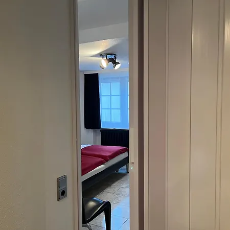 1 A Ferienwohnung Im Dreilaendereck D-F-Ch Mit Beheizbarem Kleinem Ueberdachtem Pool Auf Der Privaten Terasse Lejlighed Hausen im Wiesental