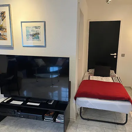 1 A Ferienwohnung Im Dreilaendereck D-F-Ch Mit Beheizbarem Kleinem Ueberdachtem Pool Auf Der Privaten Terasse Lejlighed Hausen im Wiesental