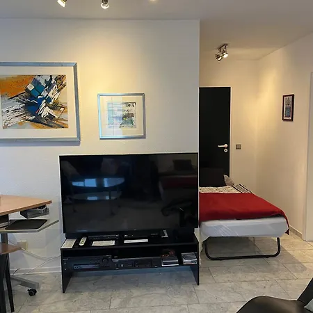 1 A Ferienwohnung Im Dreilaendereck D-F-Ch Mit Beheizbarem Kleinem Ueberdachtem Pool Auf Der Privaten Terasse
