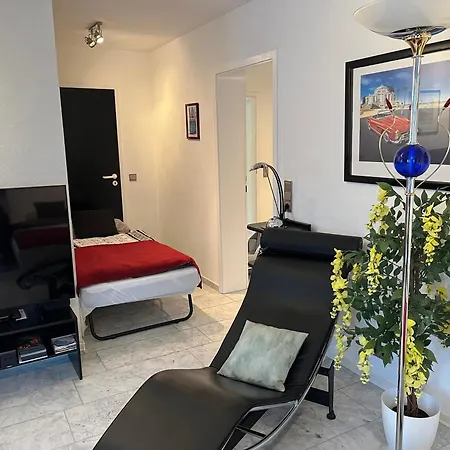 1 A Ferienwohnung Im Dreilaendereck D-F-Ch Mit Beheizbarem Kleinem Ueberdachtem Pool Auf Der Privaten Terasse Lejlighed Hausen im Wiesental