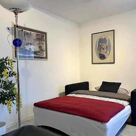 1 A Ferienwohnung Im Dreilaendereck D-F-Ch Mit Beheizbarem Kleinem Ueberdachtem Pool Auf Der Privaten Terasse Lejlighed